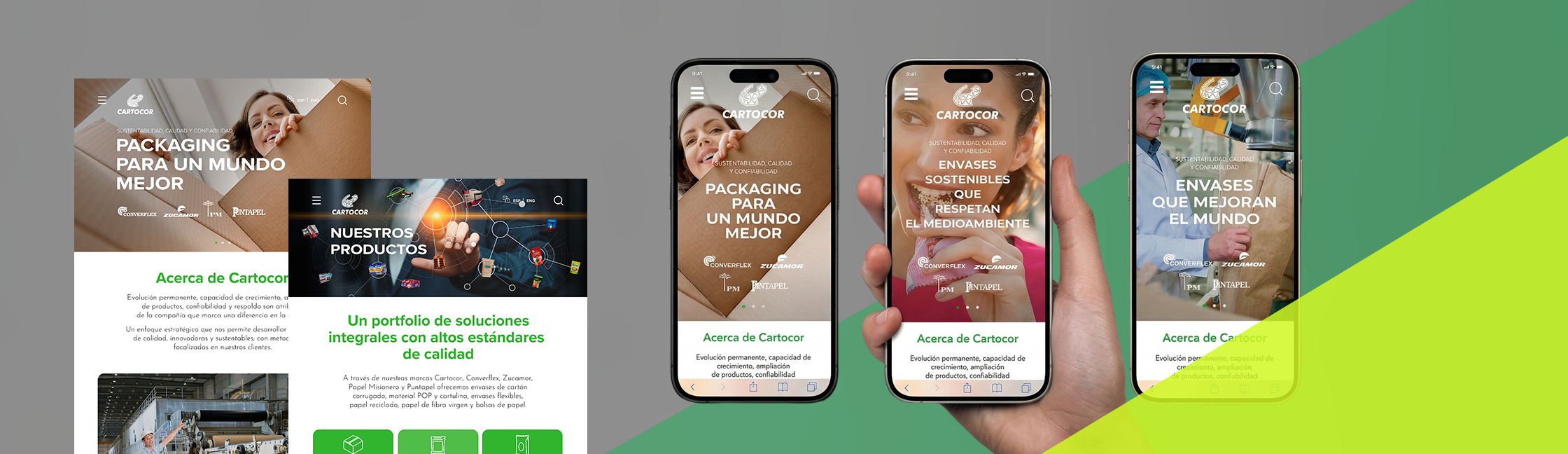Cartocor. Brandsite B2B orientado a la conversión.